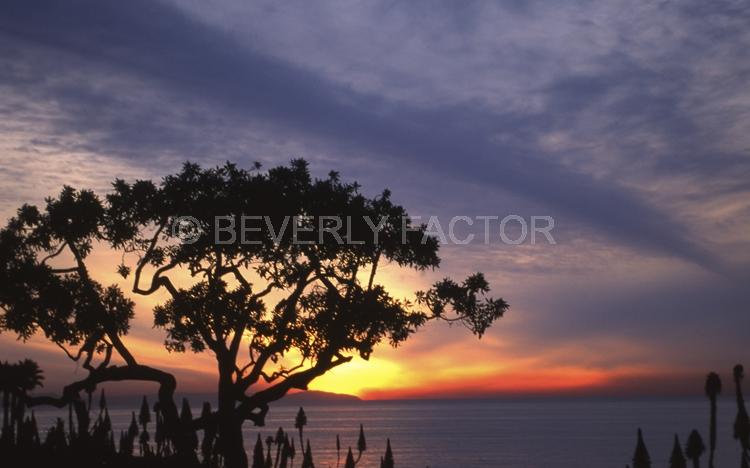 Island;laguna beach;Sunset;sky;clouds;sun;water;red;sillouettes;ocean;purple